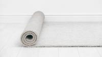 Carpet Cleaning Pros image 11